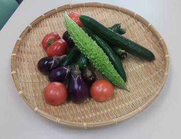 採れた野菜たち