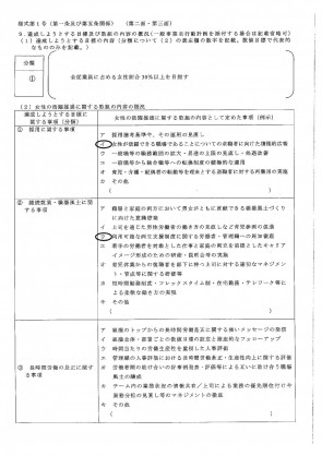 一般事業主行動計画2